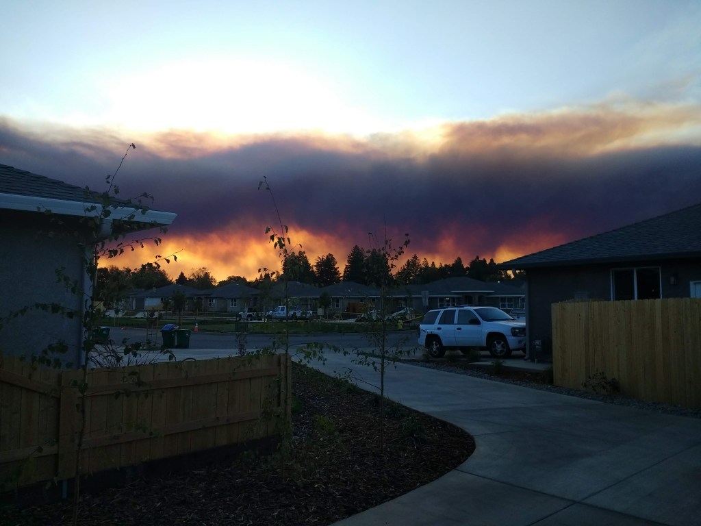 This is Chico in&nbsp;Crisis